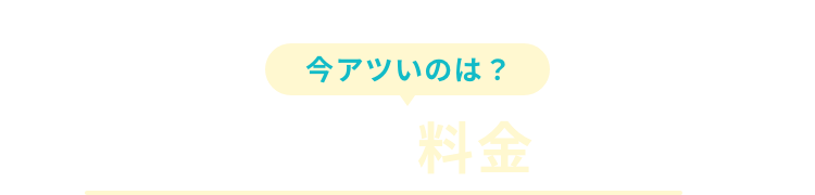 今アツいのは？1ヶ月あたりの料金に注目