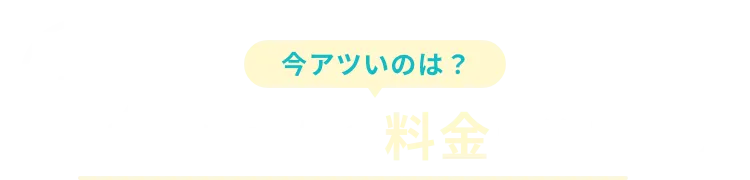 今アツいのは？1ヶ月あたりの料金に注目